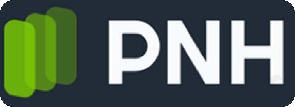 PNH Security Engineering Consultants